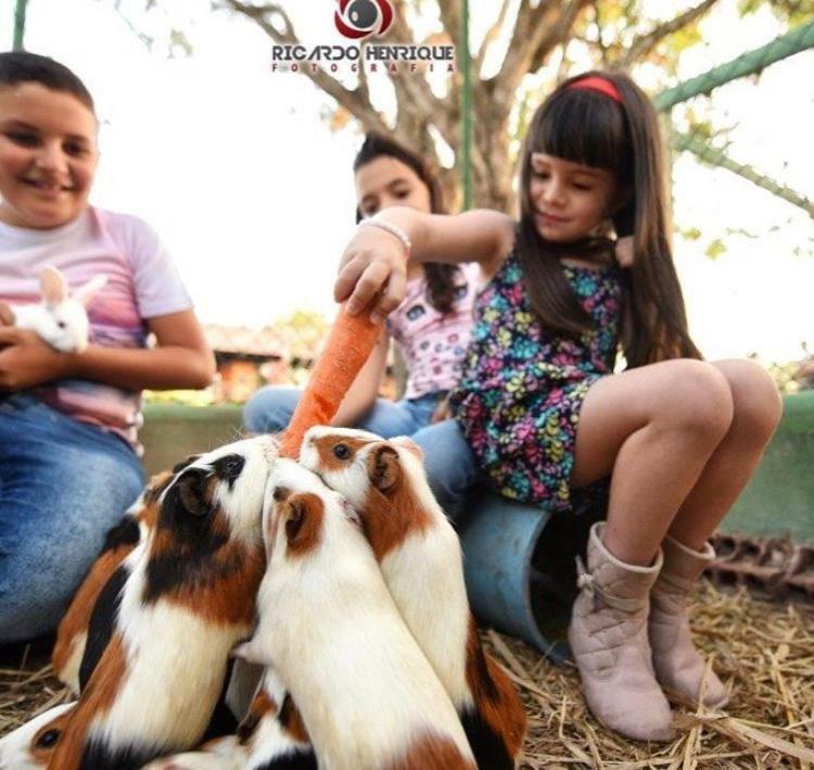Pousada Fazenda Santa Fe Bezerros Buitenkant foto